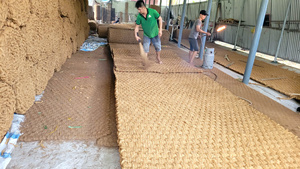 Producto vietnamita 2024 Coir Mat 3,5 cm de espesor Biodegradabilidad Proceso de fuego Pavimentación Carretera - Product Image 6
