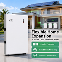 Batterie solaire hybride divisée CFE-WL-16 16kWh 51.2V 314Ah LiFePO4 pour stockage résidentiel (villa) avec CAN RS485