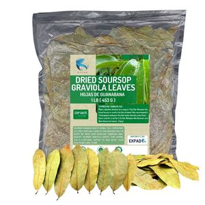 Super Deal FD Soursop Tea Healthy Organic Tea 100% Té de hierbas orgánicas con productos saludables de Vietnam sin OGM - Product Image 5