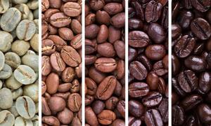 เครื่องคั่วเมล็ดกาแฟอาราบิก้าไทย เกรดเอ 11.5 กก. - Product Image 2