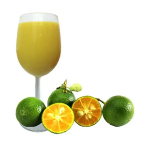 CONCENTRADO DE JUGO CALAMANSI PURO DE ALTA CALIDAD DE VIETNAM - Product Image 5