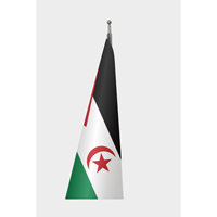 Bendera Resmi Dalam Negeri Republik Arab Sahara Demokratik Dicetak Secara Digital Dengan Bahan Aluminium Dan Tiang Bendera