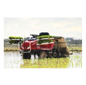 Trasplantadora de Arroz de Alta Resistencia para Campos Agrícolas con Profundidad Ajustable y Sistema de Motor Robusto - Product Image 6