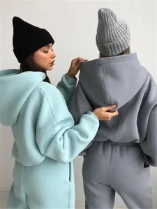 Conjuntos de sudaderas con capucha y cremallera de dos piezas de peso pesado personalizados chándal holgado de rizo francés chándal de gran tamaño para mujer - Product Image 4