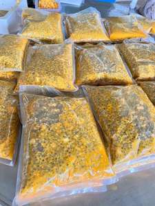 VENTE CHAUDE Concentré de jus de fruit de la passion congelé pour les boissons, les smoothies, les desserts et la transformation des aliments au Vietnam - Product Image 2