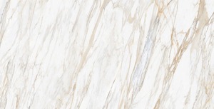 DLG 87 Brillant 60x120cm Carreaux en porcelaine de qualité supérieure Élégant Luxueux 600x1200mm pour Hall extérieur Intérieurs de salle de bains - Product Image 5