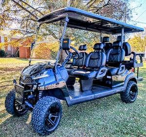 Voiturette de golf électrique de luxe 6 places avec moteur à couple élevé pour les centres de villégiature - Product Image 1