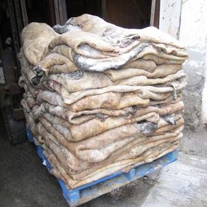 Las Mejores Ofertas en Pieles de Oveja Despellejadas Orgánicas a Precios Económicos por Volumen para Cinturones, Muebles y Bolsos - Product Image 2