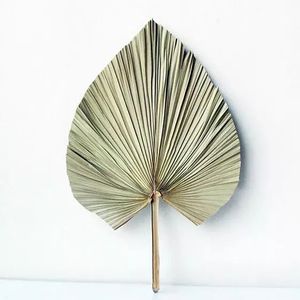 Auténtico abanico de Palma vietnamita - Product Image 1