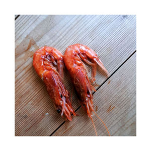 Compre camarones rojos congelados para comercio internacional y grandes pedidos - Product Image 6