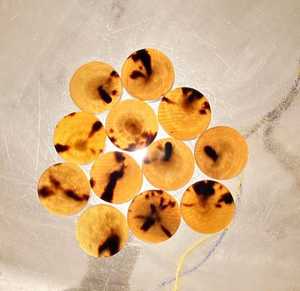 Qualité supérieure 100% naturel buffle/corne de vache bouton blancs couleur 09 pour l'industrie des boutons directement de l'artisanat mondial Impex - Product Image 1