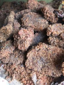 100% colloïde protecteur de gomme arabe d'acacia de qualité supérieure naturelle pour l'agriculture Talha du Sénégal utilisé pour la prévention - Product Image 2