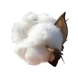 High Quality Sheet Cotton Cellulose For Sale In Bulk Reliable Supplier Cotton Cellulose