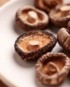 EXPORTATEUR DE CHAMPIGNONS SHIITAKE SÉCHÉS BIOLOGIQUES MEILLEUR PRIX - Product Image 3