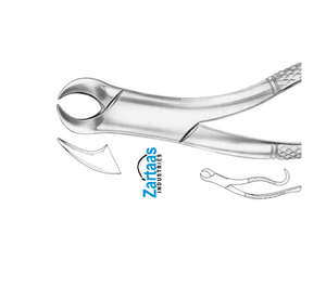 Fórceps de extracción de acero inoxidable de alta calidad, molares inferiores para niños Fig 16S, exportadores y fabricantes - Product Image 4