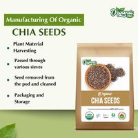 Semillas de Chía Orgánicas Zing (Modelo OZ Chia Seed) - Empaque en Bolsa, Veganas y Sin Conservantes, para Smoothies, Pudines y Ensaladas