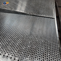 Fabricant de tôles perforées sur mesure, panneaux perforés en acier inoxydable, plaques perforées en aluminium pour la décoration des bâtiments