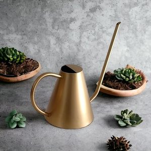 Bidon d'eau en acier galvanisé pour jardin Plantes et fleurs Bidon d'eau en métal - Product Image 4