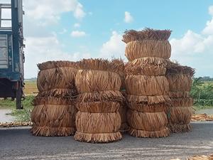 Material de Vietnam de jacinto de agua seca Protección del Medio Ambiente de moda planta natural hecha a mano - Product Image 3