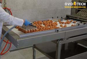 Rompehuevos OVO-TECH RX-6, Capacidad de 39000 Huevos por Hora, Cuerpo de Acero Inoxidable 304, Máquina Automática para Romper Huevos - Product Image 4