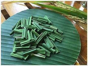 HOJAS PANDAN SECAS PREMIUM CON AROMA VERDE LIMPIO PARA CUIDADO INMUNE Y APOYO AL BIENESTAR DIARIO - Product Image 5