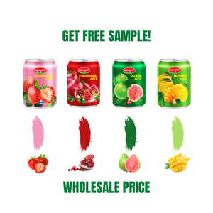 Jojonavi Jus de mangue court 250ml Fabricant de marque privée OEM Fournisseur en gros Jus de fruits et légumes - Product Image 4