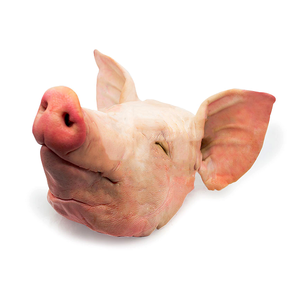 Good Quality Whole Frozen <b>Pork</b> Heads (whole heads with ears and tongue) Available in Bulk Fresh Stock At Wholesale Price - Product Image 4