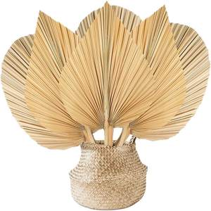 Meilleures ventes de feuilles de palmier séchées, décoration murale en feuille de palmier naturelle, décoration de mariage pour l'exportation - Product Image 1