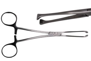 WORLD PRECISION SURGICAL Pince à tissus Allis, instrument chirurgical dentaire pour la préhension des gencives et des tissus mous, en acier inoxydable, 150 mm, CE - Product Image 2