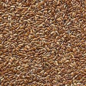 Semillas de Lino Marrón Orgánicas No Transgénicas de Primera Calidad al por Mayor, Semillas de Linaza Dorada Enteras de la Mejor Calidad, Productos Agrícolas de Origen Europeo, Modelo EF34TRF - Product Image 1
