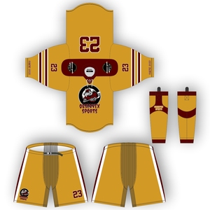 Ensemble d'uniformes de hockey sur glace respirants en polyester 100% pantalon et chaussettes en jersey d'équipe sublimés avec technique de broderie - Product Image 1