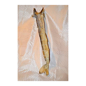 Mejor venta de pescado seco en conserva congelado, cabeza de pescado de bacalao salado, característica natural, empaquetado a granel para la venta - Product Image 6