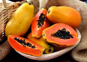 อุ้งเท้าสีแดงสด (มะละกอ) ในราคาสุดคุ้ม - Product Image 4