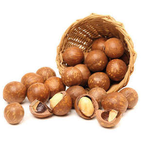 Nueces de Macadamia Orgánicas, Naturales, Crudas y Tostadas, al por Mayor, Alto Valor Nutricional, Estándar de Exportación - Product Image 1