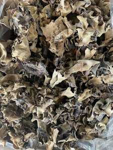 Champignon d'oreille en bois séché en gros pour l'exportation/oreille d'arbre sec noir pour l'exportation du Vietnam Mme Lily + 84 906927736 - Product Image 4