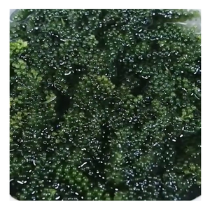 Uvas de mar verdes brillantes, guarnición de algas marinas frescas para ensaladas, uvas de mar fáciles de usar, algas marinas en demanda para cobertura directa de alimentos - Product Image 2