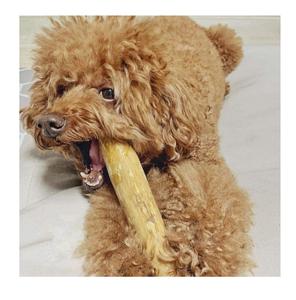 Bâtonnets à mâcher en bois de café respectueux de l'environnement pour chiens/jouet pour chiens de haute qualité du Vietnam - Product Image 4