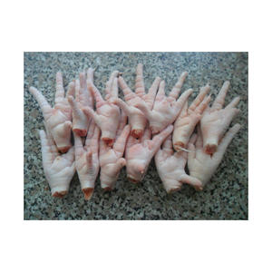 Patas de pollo listas para exportación, venta al por mayor, compra a granel, precio de descuento, envío rápido - Product Image 6