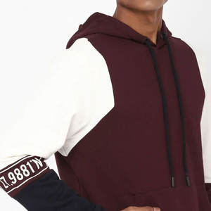 Meilleur design Sweats à capuche à manches longues légers pour hommes Street Wear Style Polyester/coton de haute qualité pour l'hiver Dernier prix - Product Image 6