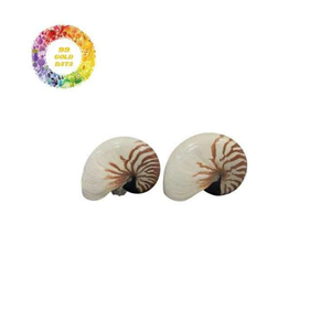 Carcasa Nautilus artística para coleccionistas y diseñadores de decoración de Vietnam Company 99 Gold Data Nautilus Shell - Product Image 1