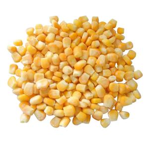 Vente en gros légumes surgelés maïs sucré congelé IQF - Product Image 1