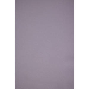 Chal Cuadrado de Lana de Cachemira Gris con Estampado de Animales y Flores - Product Image 2