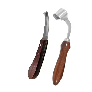 Conjunto de instrumentos quirúrgicos veterinarios de acero inoxidable de la mejor calidad Vendedor superior para entrenamiento principal - Product Image 5