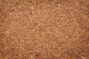 Todas las ventas están bien, Iber Viet Am In ululk. - Product Image 5