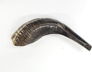 Cuerno soplador Compuesto por 100% Cuerno Shofar/Cuerno soplador vikingo DE LA India - Product Image 3