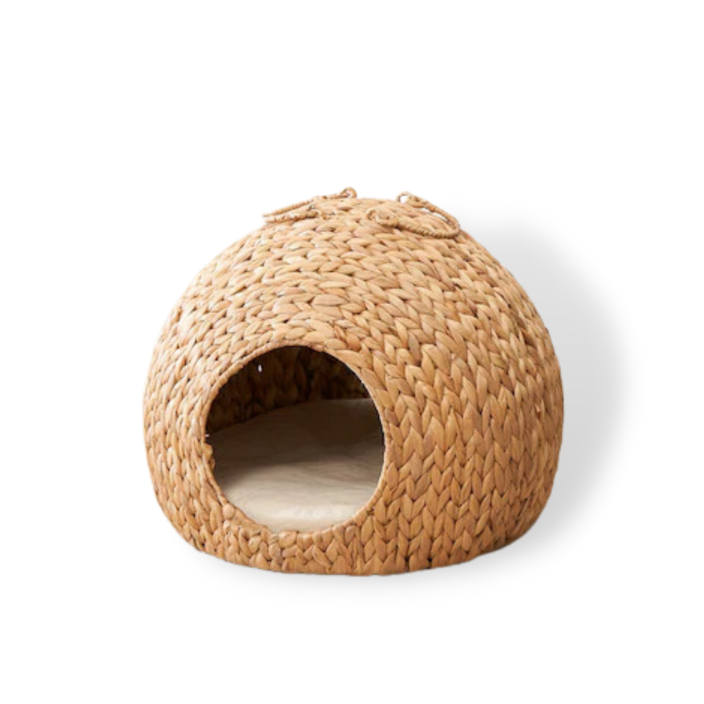 ธรรมชาติ