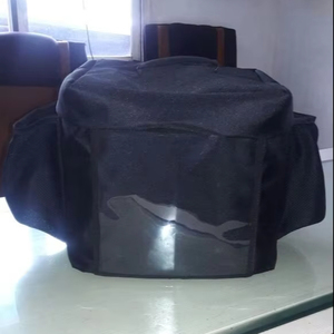 2025 Fabricante mundial Cajas térmicas traseras para motocicletas para entrega de alimentos Transporte de pizzas Alimentos Comestibles Coches en el mercado indio - Product Image 1