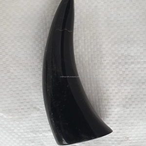 Cuerno vikingo para beber hecho a mano, cuerno de búfalo pulido Original, artesanías naturales ecológicas, India, estilo Animal sostenible, venta - Product Image 1