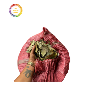 ใบ soursop graviola แห้งคุณภาพสูงสำหรับการสั่งซื้อจำนวนมากราคายอดเยี่ยมและบรรจุภัณฑ์สดใหม่เหมาะสำหรับการส่งออก - Product Image 6