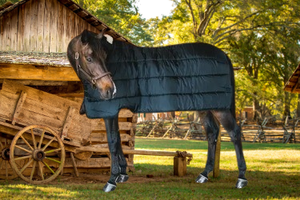 สินค้าขายดี อุปกรณ์สำหรับม้าสำหรับฤดูหนาวกลางแจ้ง ดีไซน์ใหม่ ผ้าคลุมม้าระบายอากาศ กันน้ำ สำหรับส่งออกจำนวนมาก - Product Image 5